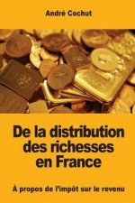 De la distribution des richesses en France: ? propos de l'impôt sur le revenu