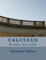 Calculus: Single Variable