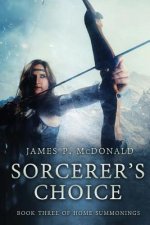 Sorcerer's Choice: Book Three of Home Summonings
