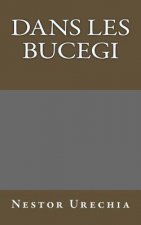 Dans les Bucegi