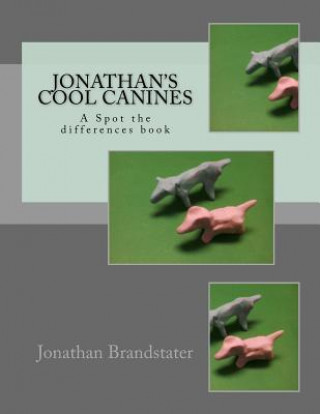 Jonathan's cool canines: A Spot the differences book