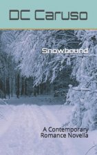 Snowbound: A Contemporary Romance Novella