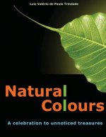 Natural Colours: A celebration to unnoticed treasures