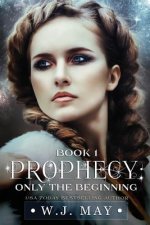 Only the Beginning: Paranormal Werewolf Shifter Romance