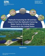 Hydraulic Fracturing for Oil and Gas: Impacts from the Hydraulic Fracturing Water Cycle on Drinking Water Resources in the United States: Appendices