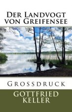 Der Landvogt von Greifensee - Großdruck