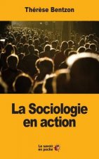 La Sociologie en action