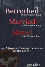 A Joyous Romance: Books 1-3