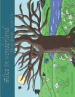 Alice in Wonderland Study Guide: For use with Grades 7-12