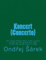 Koncert (Concerto) for Furst Pless Horn