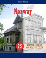 Cities Grayscale Coloring Book for Adult Landmarks in Norway Grayscale Coloring Book: Cities Grayscale Coloring Book for Adult Landmarks in Norway Gra