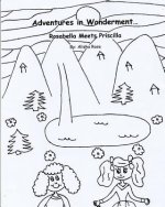 Adventures in Wonderment: Rosabella Meets Priscilla: Coloring Book