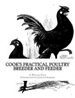 Cook's Practical Poultry Breeder and Feeder: How To Make Poultry Pay