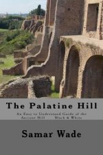The Palatine Hill: An Easy to Understand Guide of the Ancient Hill Black & White edition