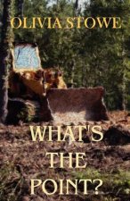 What's The Point?: Charlotte Diamond Mysteries 5