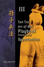 Volume 3: Sun Tzu's Art of War Playbook: Opportunities