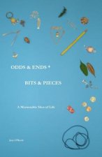Odds & Ends * Bits & Pieces: A Memorable Slice of Life
