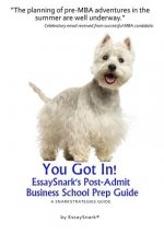 YOU GOT IN!! EssaySnark's Post-Admit Business School Prep Guide: A SnarkStrategies Guide