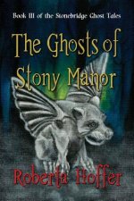 The Ghosts of Stony Manor