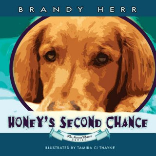 Honey's Second Chance