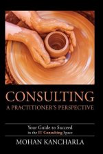 Consulting: A Practitioner's Perspective