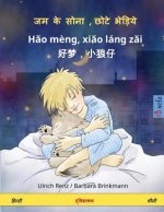 Sleep Tight, Little Wolf. Bilingual Children's Book (Hindi - Chinese)