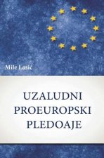 Uzaludni Proeuropski Pledoaje: Prilozi 'refleksivnim Modernizacijama'