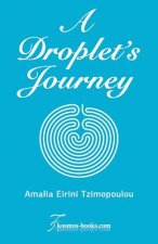 A Droplet's Journey