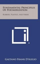Fundamental Principles of Polymerization: Rubbers, Plastics, and Fibers