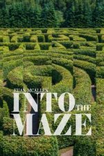 Into the Maze