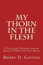 My Thorn in the Flesh: A Vietnam Veteran Speaks about Ptsd and the Bible
