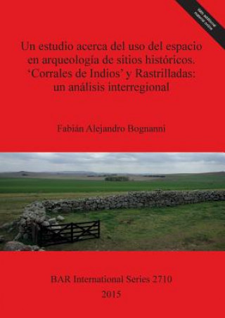 estudio acerca del uso del espacio en arqueologia de sitios historicos. 'Corrales de Indios' y Rastrilladas: un analisis interregional