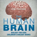 Human Brain - Biology for Kids Children's Biology Books