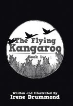 Flying Kangaroo
