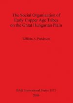 Social Organization of Early Copper Age Tribes on the Great Hungarian Plain