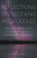 Reflections on Oceans and Puddles