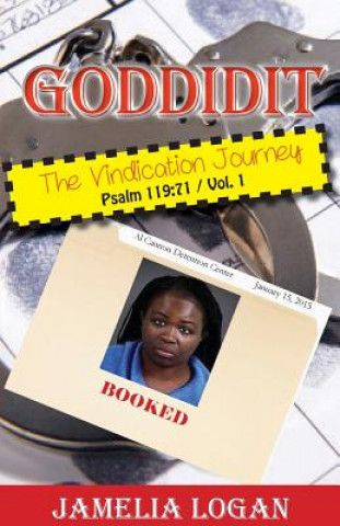 Goddidit the Vindication Journey