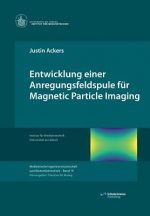 Entwicklung einer Anregungsfeldspule fur Magnetic Particle Imaging