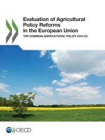 Evaluation of Agricultural Policy Reforms in the European Union