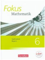 Fokus Mathematik - Bayern - Ausgabe 2017 - 6. Jahrgangsstufe