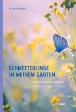 Schmetterlinge in meinem Garten