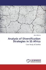 Analysis of Diversification Strategies in SS Africa