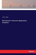 UEber Riemann's Theorie der Algebraischen Funktionen