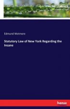 Statutory Law of New York Regarding the Insane