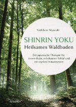 Shinrin Yoku - Die japanische Kunst des Waldbadens