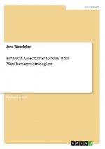 FinTech. Geschäftsmodelle und Wettbewerbsstrategien