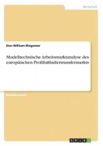 Modelltechnische Arbeitsmarktanalyse des europäischen Profifußballertransfermarkts