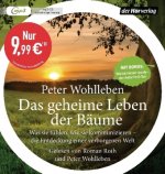 Das geheime Leben der Bäume
