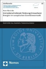 Grenzüberschreitende Förderung Erneuerbarer Energien im europäischen Strombinnenmarkt