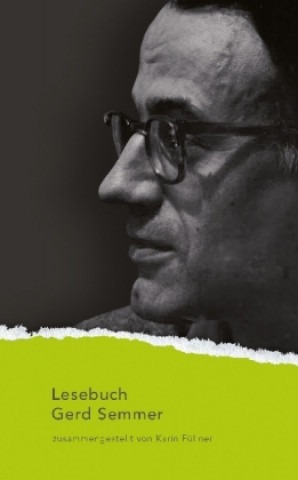Lesebuch Gerd Semmer